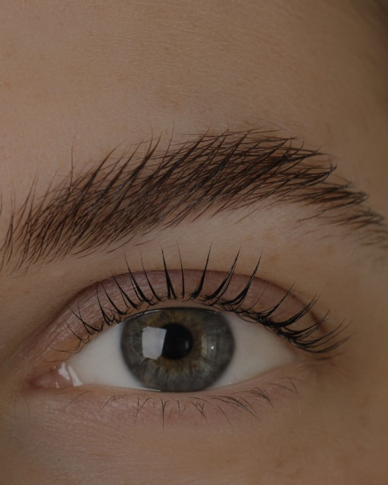 Step 5: Reveal your results